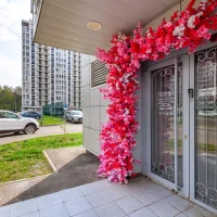место красоты леами изображение 2
